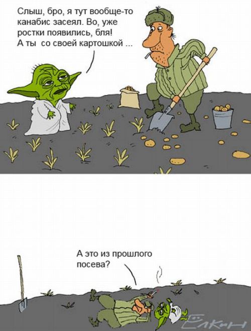  (500x658, 44Kb)