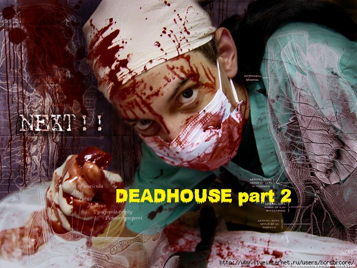 DEADHOUSE.PW (700x525, 366Kb)