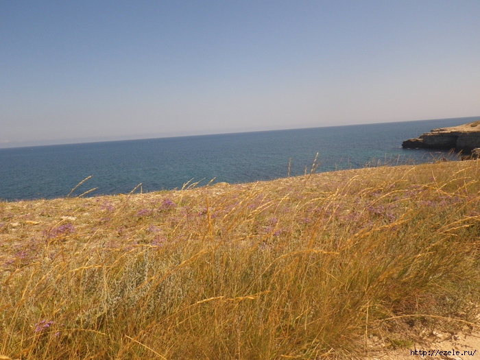 5087732_IMGP0733 (700x525, 329Kb)
