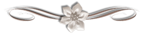 4703105_115236291_1__17_f (300x72, 21Kb)