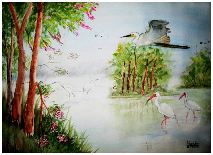 Birds_Sanctuary_____by_Shashikanta (700x511, 434Kb)