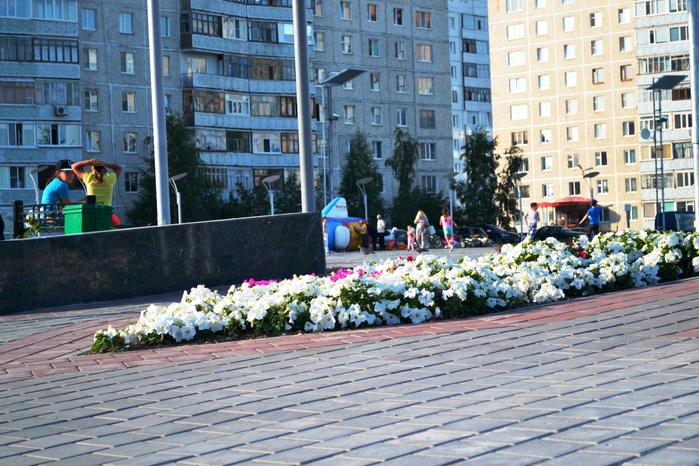 _DSC2412 (700x466, 317Kb)