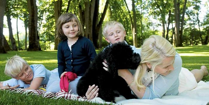 2993644_1788776_original (700x353, 65Kb)