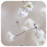   3 (150x150, 35Kb)