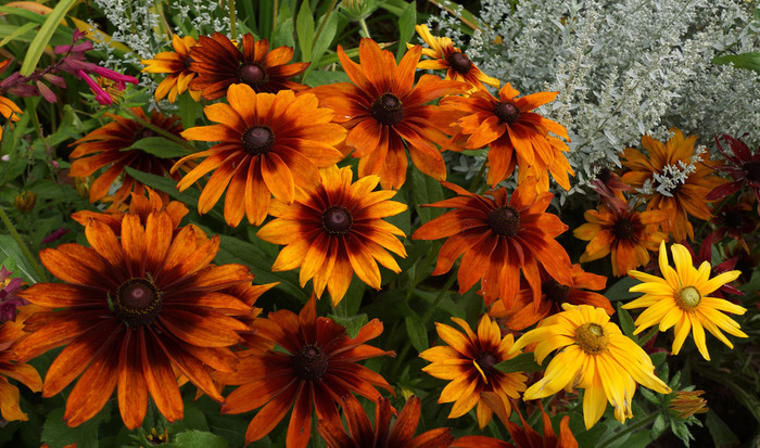 047_edited-1 (700x413, 182Kb)