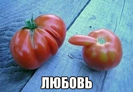 10  (560x385, 44Kb)