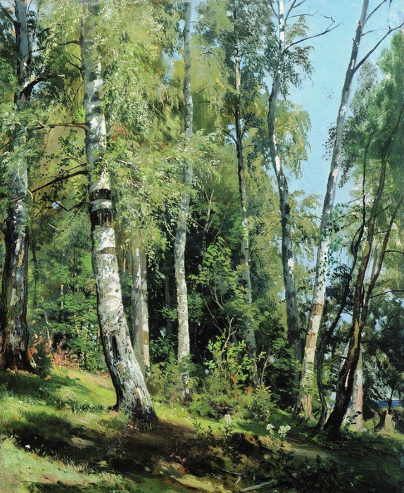 birch-grove-1896-1 (574x700, 577Kb)