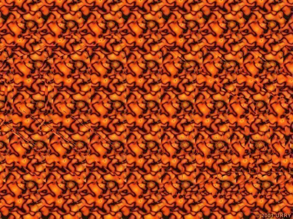 1406281898_27 (600x450, 110Kb)
