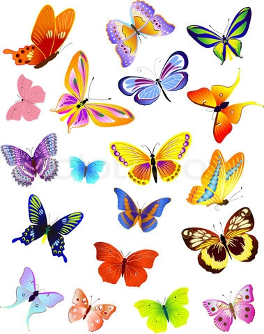 1658083-429619-set-of-different-butterflies (379x480, 143Kb)
