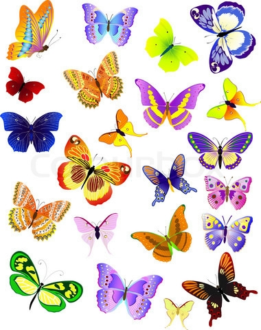 1658096-429780-set-of-different-butterflies (380x480, 156Kb)