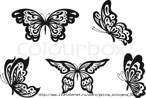 4569986-568404-butterflies-set (480x323, 90Kb)