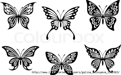 4698716-881344-black-butterfly-tattoos-and-silhouettes (480x297, 92Kb)