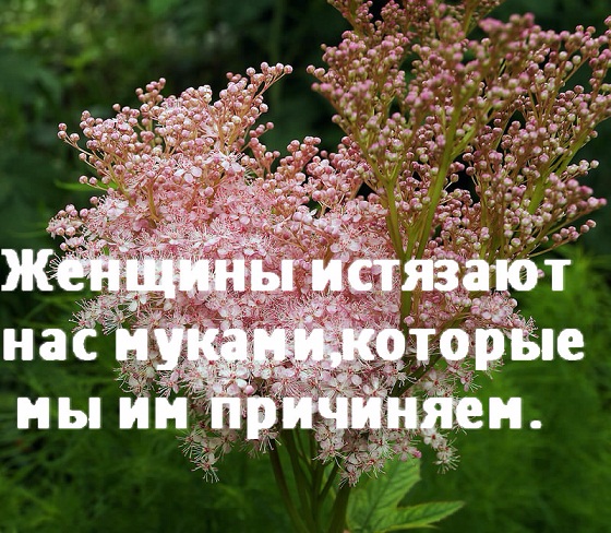 1clip_image002 (560x488, 156Kb)