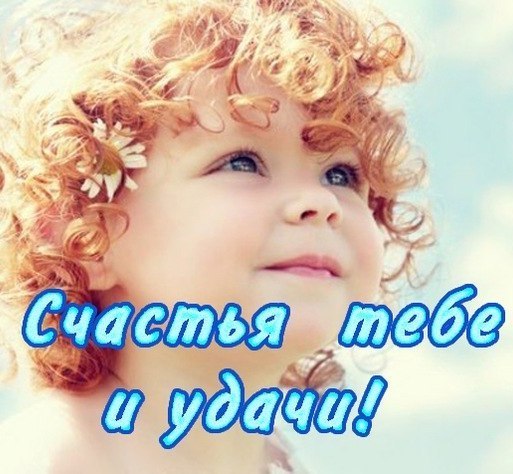 5680772_WD0gycq9YeA (513x474, 60Kb)