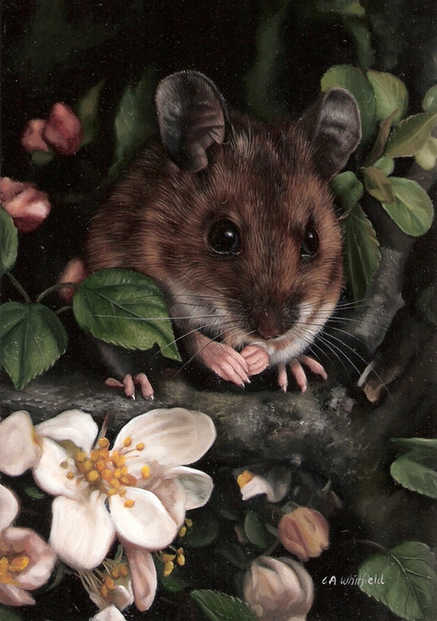 1408896970_Woodmouse (492x700, 212Kb)