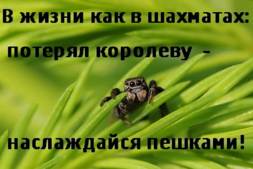 1clip_image002 (500x334, 48Kb)