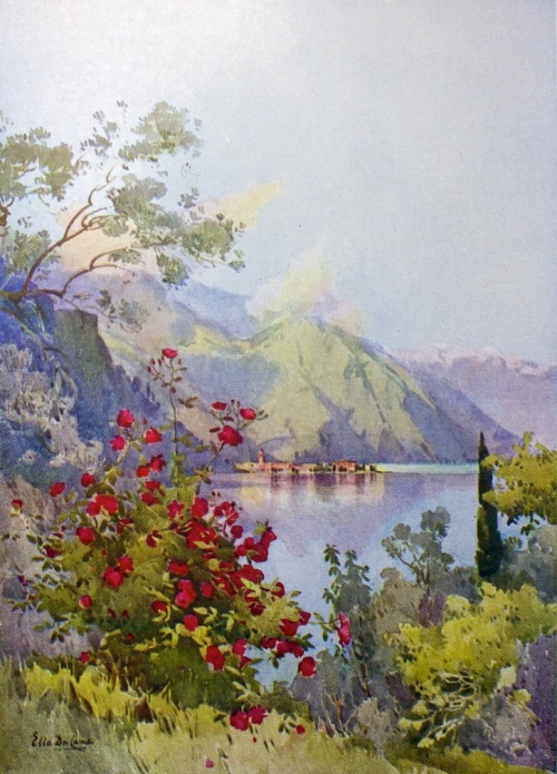 1384726989-6593761973_9180a360f3_b (500x695, 369Kb)