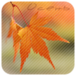   1 (150x150, 48Kb)