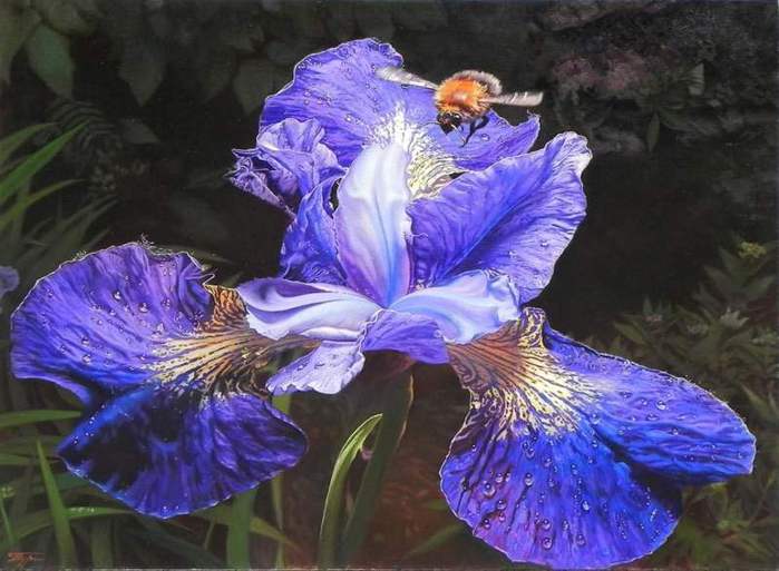 3623822_IriswithBumblebee2012_Oiloncanvas_PaintingbyRussianartistOlegTurkin (700x513, 49Kb)