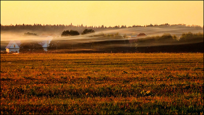  /3673959_2 (700x393, 154Kb)