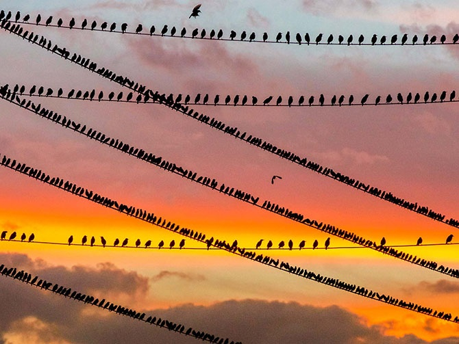 115802093_2 (670x503, 329Kb)