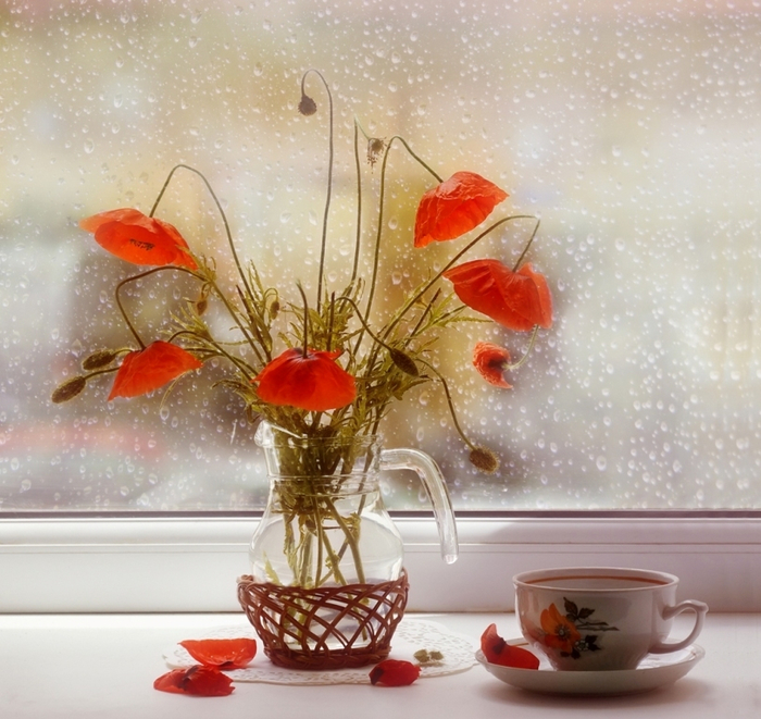 5547994_large (700x661, 459Kb)