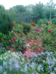  076 (525x700, 558Kb)