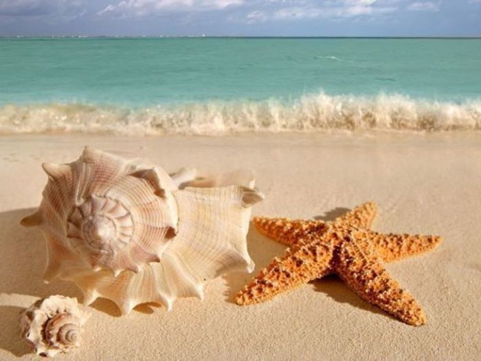 3623822_oroscopo_estate_a91cff_c (700x525, 50Kb)