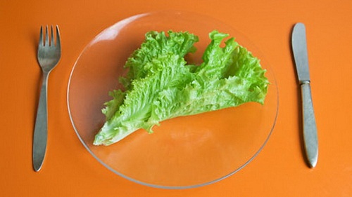 dieta-483 (500x281, 38Kb)