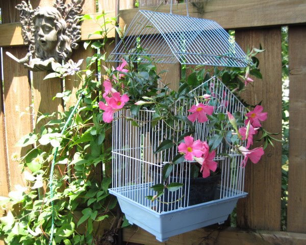 flowers-in-bird-cages-ideas1-2-3 (600x480, 345Kb)