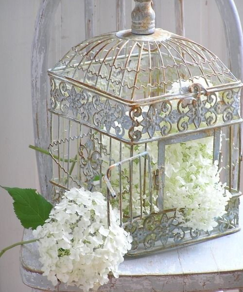 flowers-in-bird-cages-ideas2-2-2 (500x600, 230Kb)