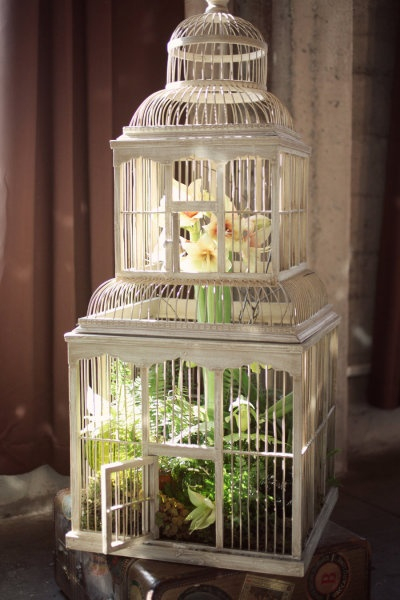 flowers-in-bird-cages-ideas2-2-6 (400x600, 196Kb)