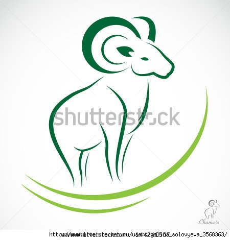 stock-vector-vector-image-of-an-chamois-on-white-background-144241507 (450x470, 71Kb)
