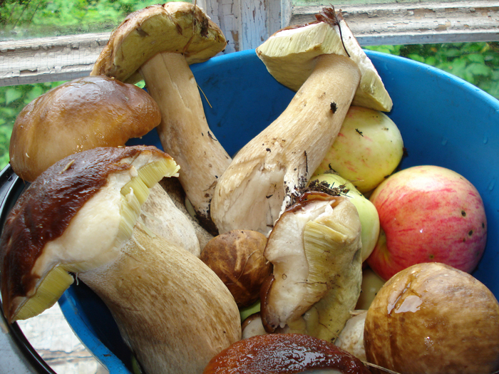 DSC01595 (700x525, 563Kb)