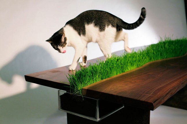 Дизайнерская мебель для кошек
