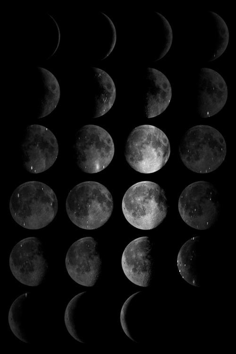 tumblr_mdi32okFtG1rtnq0go1_500 (466x700, 79Kb)