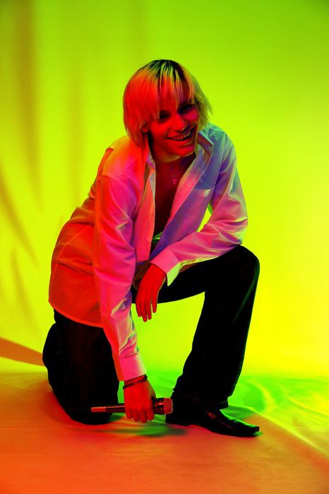 _DSC3924 (466x700, 40Kb)