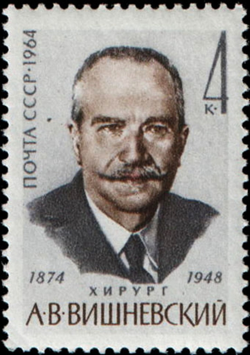 Rus_Stamp-Vishnevsky_VN (493x700, 294Kb)