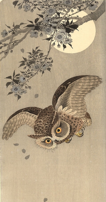 3623822_Koson_Ohara_1 (367x700, 213Kb)