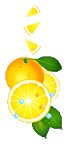 oe_96ec65794bed447e8b890e0a8ab63e00 (68x150, 35Kb)