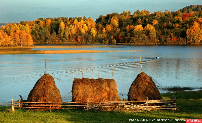 Архангельская область, Кенозерье, солнечное сентябрьское утро. (700x429, 336Kb)