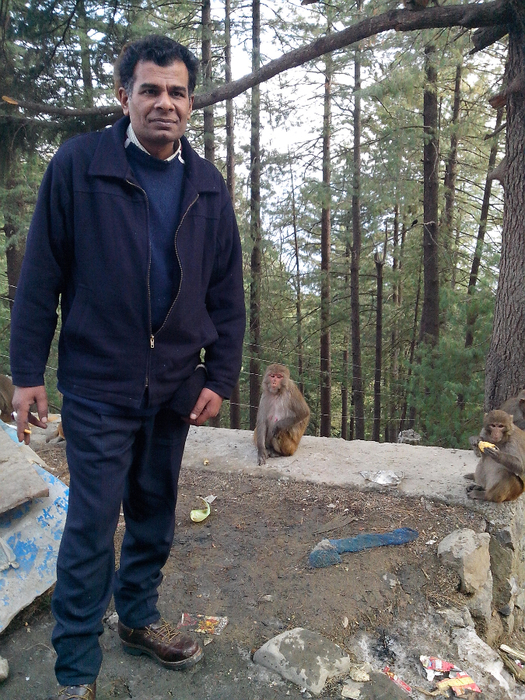 muree 30-01-2014 (22) (525x700, 532Kb)