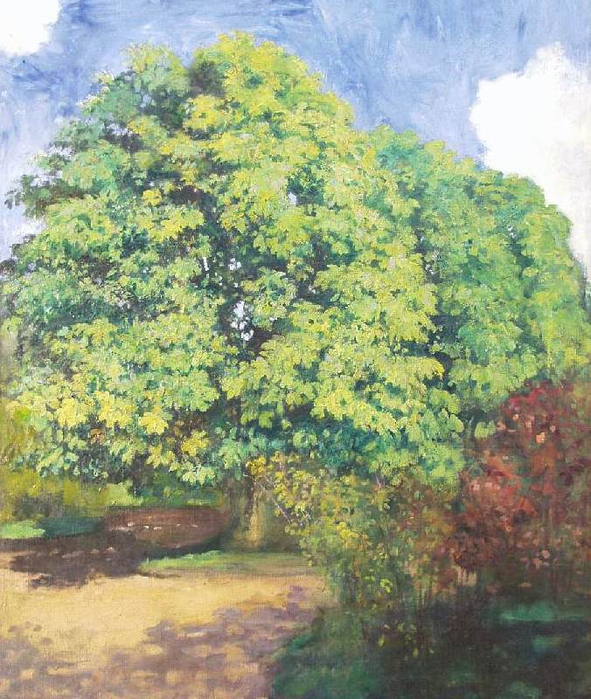 Chestnut Trees, 1900 (591x700, 504Kb)