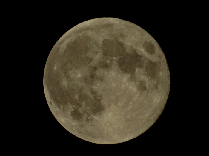 5559494_DSC05789 (700x525, 98Kb)