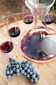 isabella-grape1 (220x330, 29Kb)