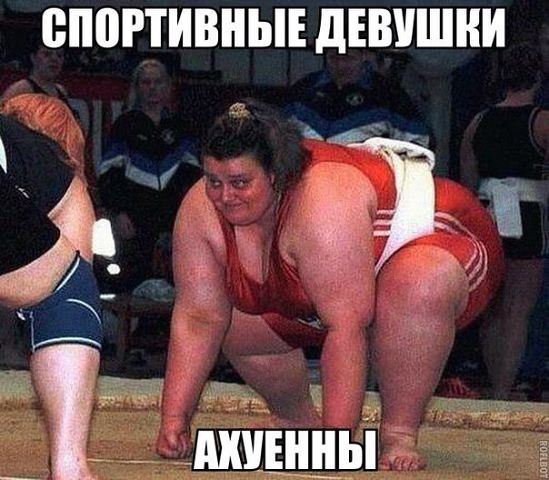 100   (549x480, 57Kb)