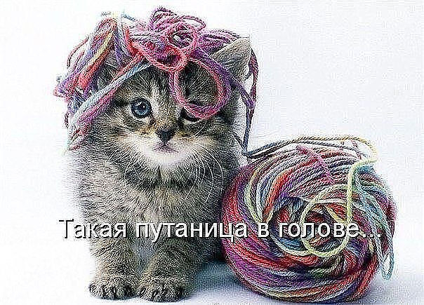 в9 (604x435, 323Kb)