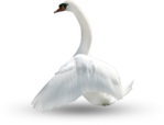  _Swan (33) (384x293, 55Kb)