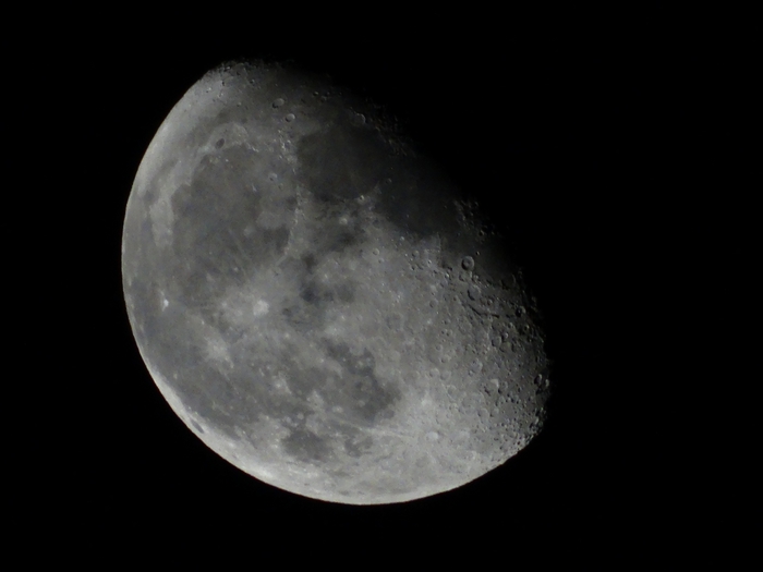 5559494_DSC06813 (700x525, 90Kb)