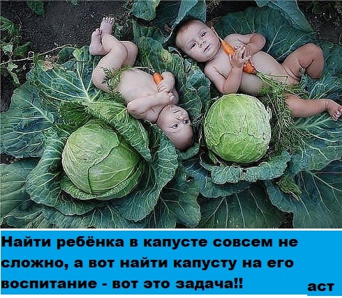 http://img0.liveinternet.ru/images/attach/c/11/116/471/116471476_large_XA4SEN4ktp4.jpg